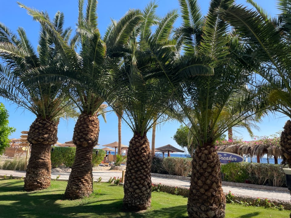 Außenansicht Grand Makadi