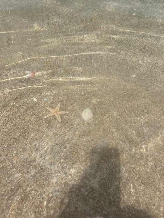 Strand Rixos The Palm Hotel & Suites