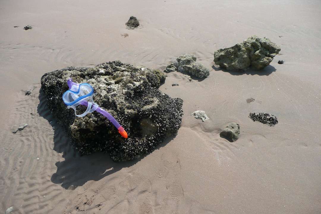 Insel bei Ebbe Pickalbatros Alf Leila Wa Leila Resort - Neverland Hurghada