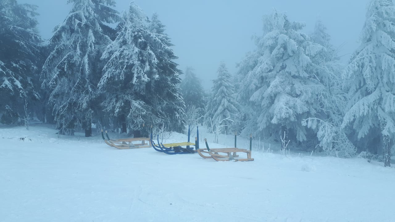 Gastro AHORN Hotel Am Fichtelberg