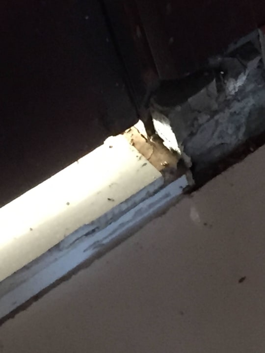 Dreck beim Frühstück Le Meridien Ile Maurice