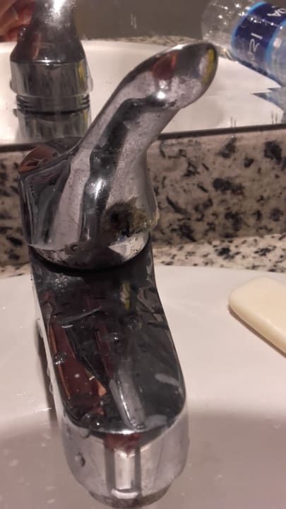 Zimmer Ghazala Gardens