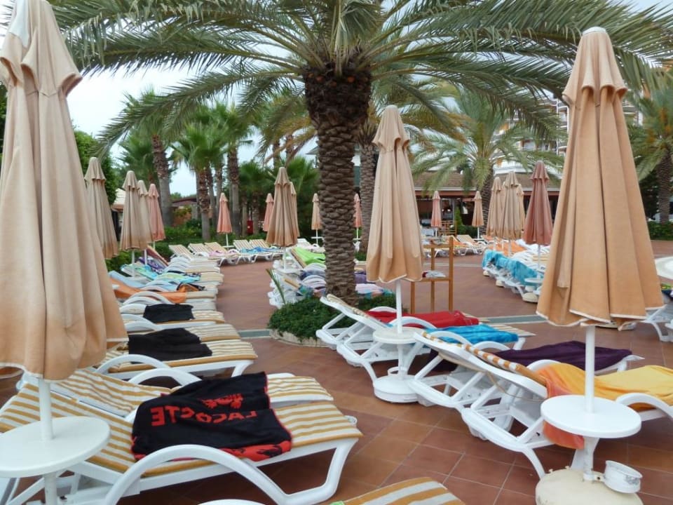 Comme des sardines Insula Resort & Spa