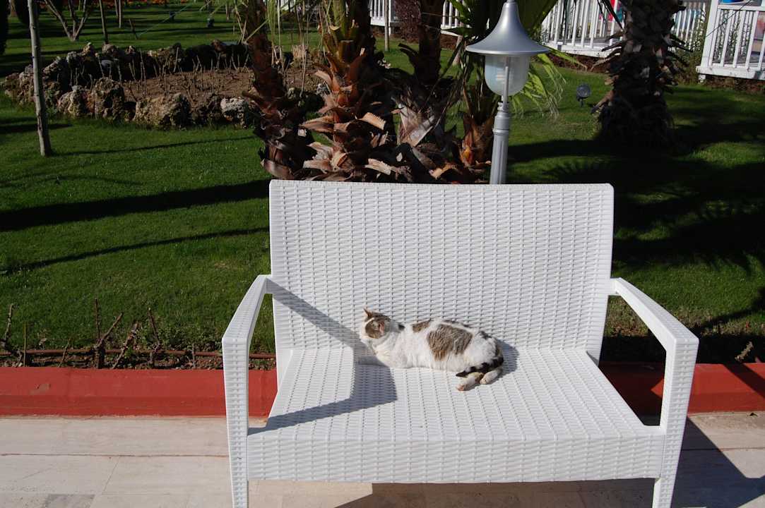 Sonnenbad  Hotel Delphin Imperial