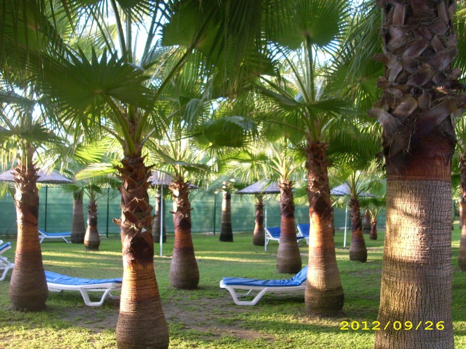 Strandliegewiese Miramare Queen Hotel