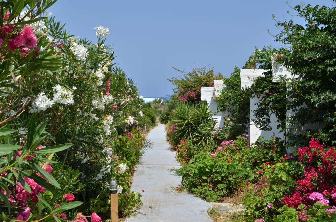Ohne Worte Knossos Beach Bungalows Suites Resort & Spa