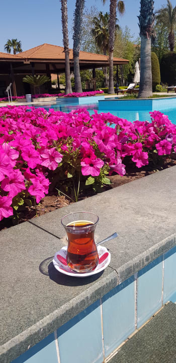 Pool IC Hotels Green Palace & Villas
