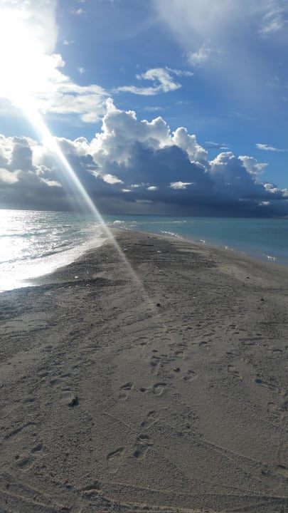 Sandbank  Kuramathi Maldives