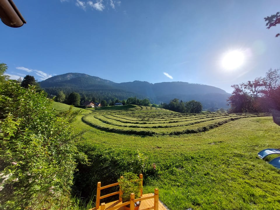 Ausblick Wagnerhof - Urlaub am Bauernhof