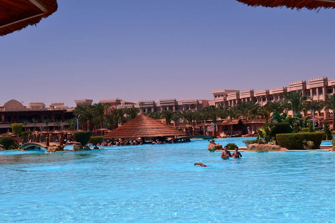Blick auf die Swim up Bar Pickalbatros Palace Resort