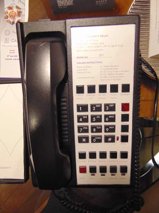 Zimmer Hotel Hyatt Regency Delhi