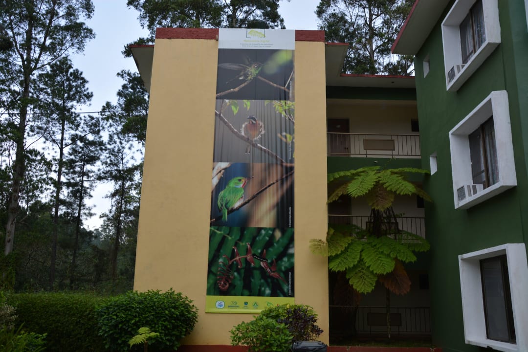 Vor dem Hotel Hotel Los Helechos