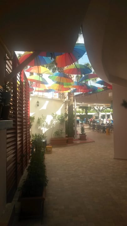 Gartenanlage Hane Family Resort