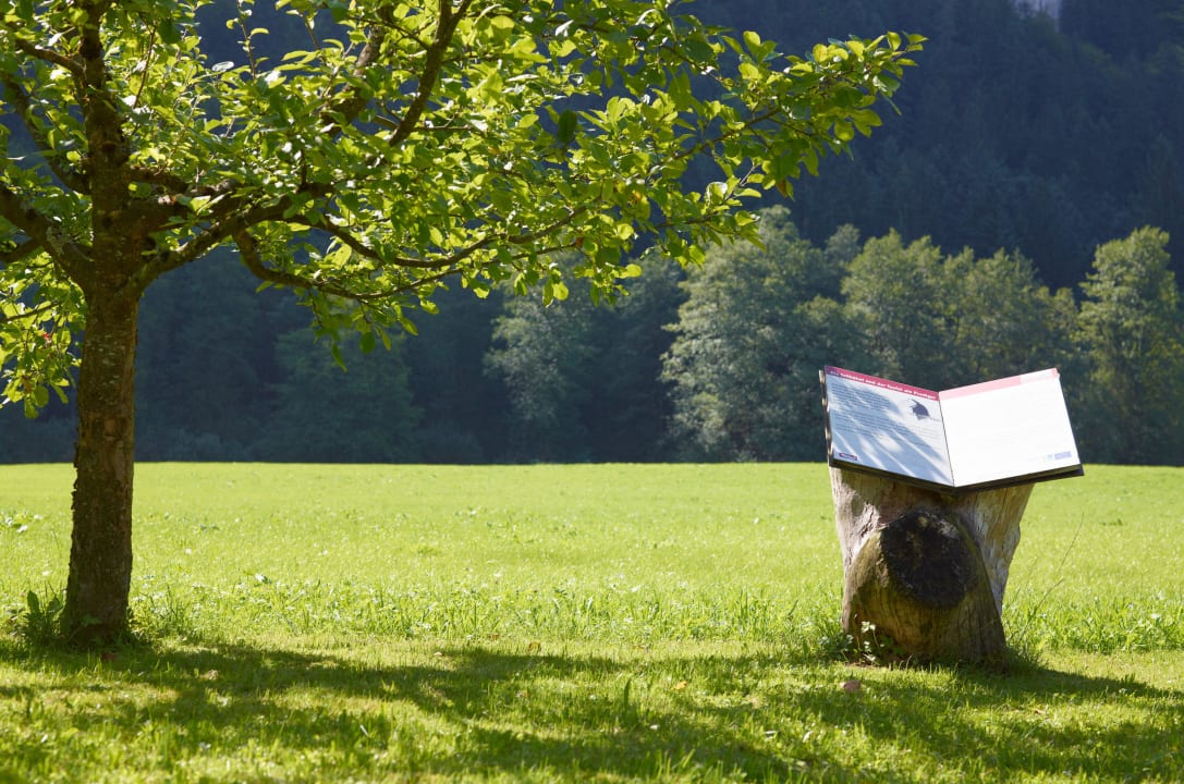 Im Apfelgarten Hotel Zur Schanz