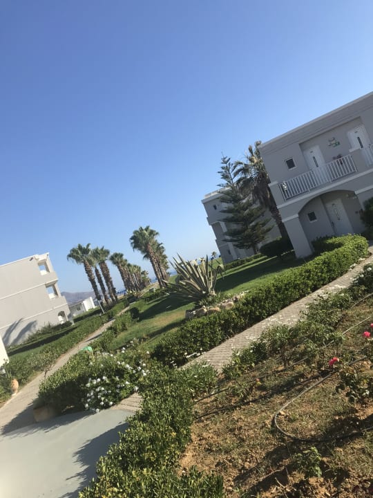 Garten Delfina Tropic Beach