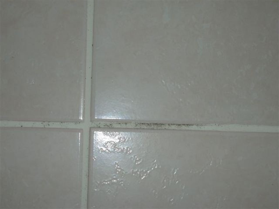 Schimmel Botanik Hotel & Resort