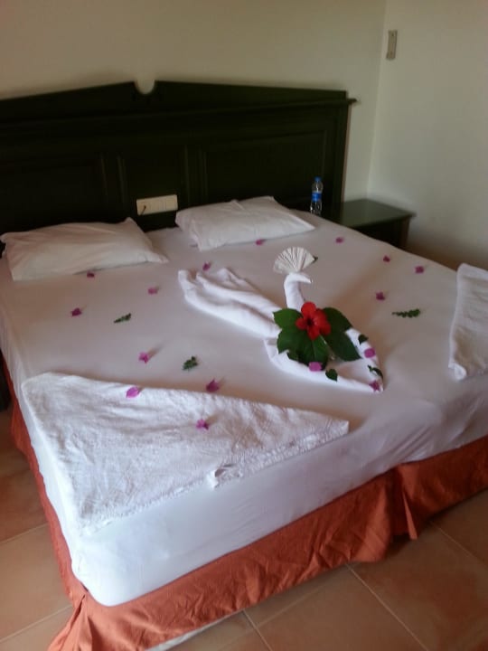 Top Hotel Gardenia Beach