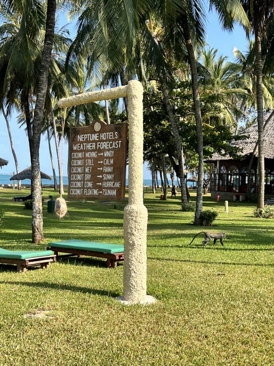 Gartenanlage Neptune Village Beach Resort & Spa