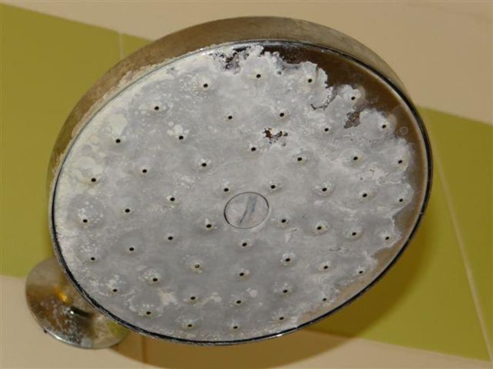 Kalkablagerungen am Duschkopf Hotel Mondial