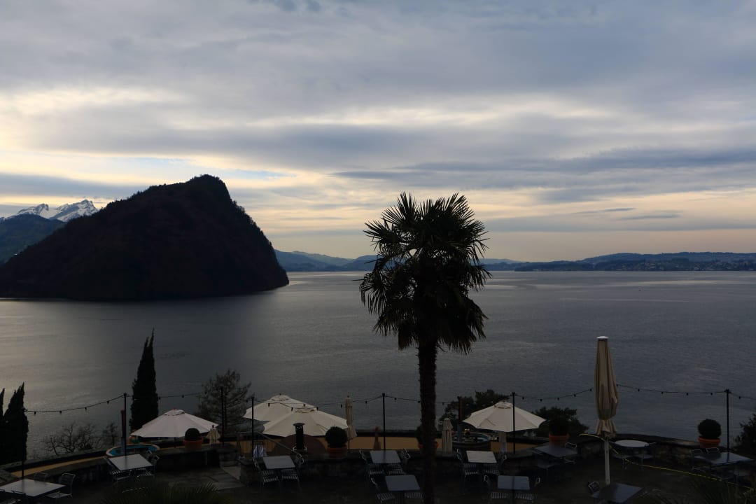 Blick auf den Vierwaldstättersee See- und Seminarhotel FloraAlpina
