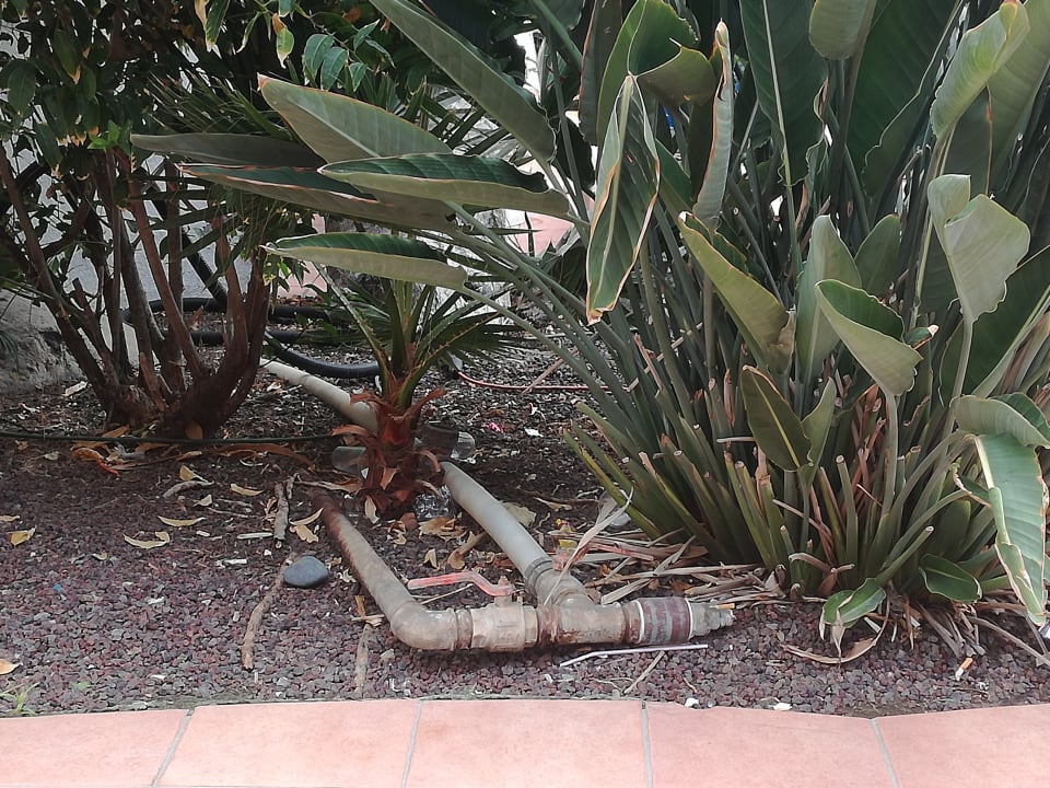 Gartenanlage Hotel Best Tenerife