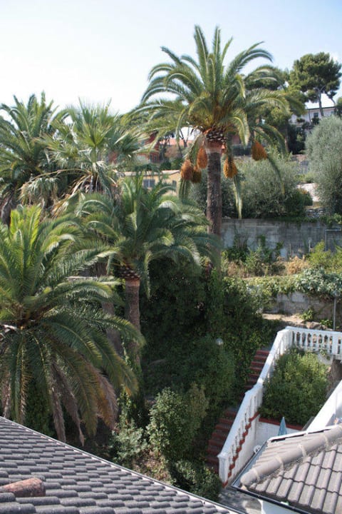 Ogród i część hotelu Villa Marina Residence