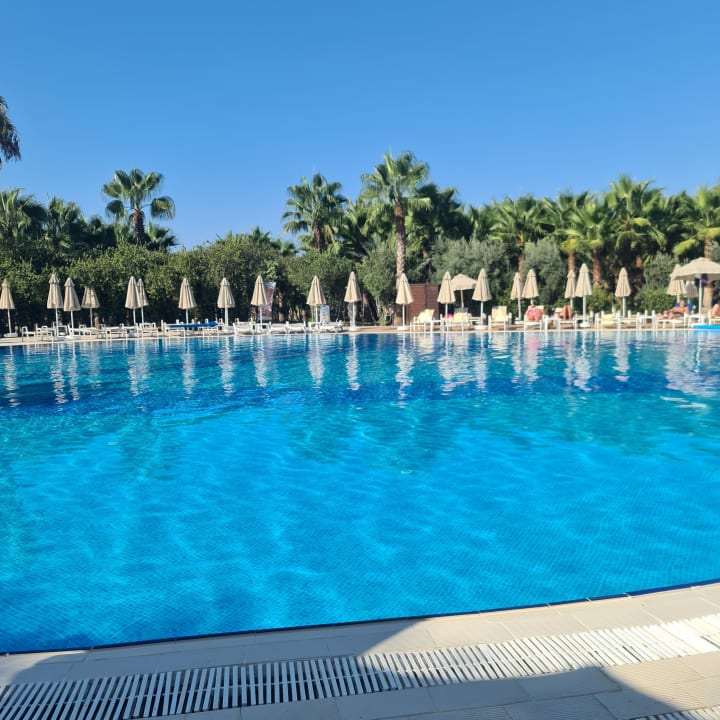 Pool Seaden Sea World Resort & Spa