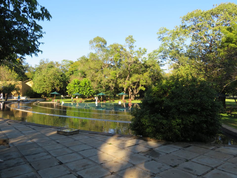 Pool Habarana Village by Cinnamon