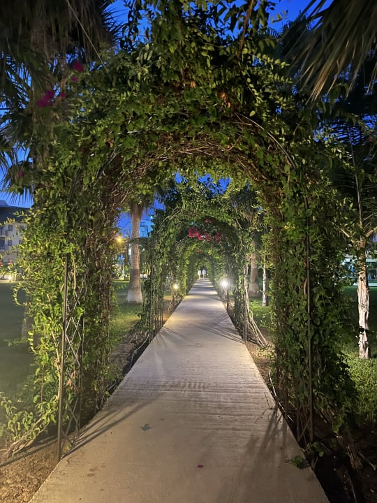 Gartenanlage Hotel Novum Garden Side