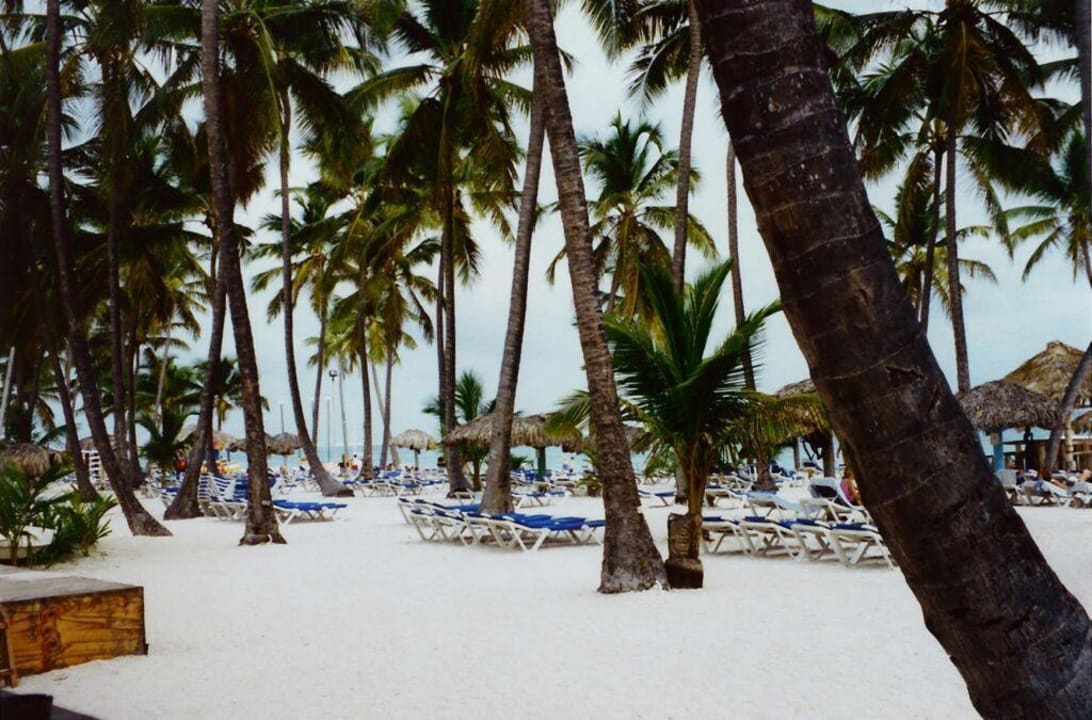 Hotelstrand Jewel Palm Beach