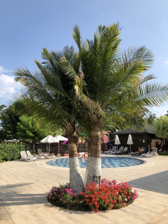 Pool Sunis Kumköy Beach Resort Hotel & Spa