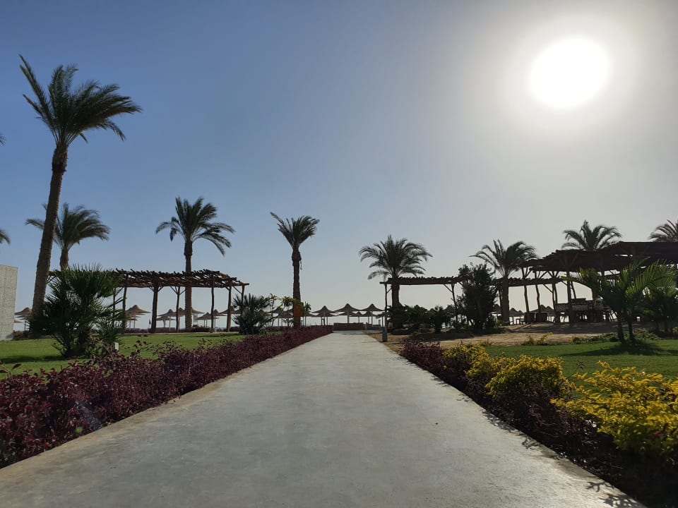 Gartenanlage Jaz Costa Mares (Adults Only)