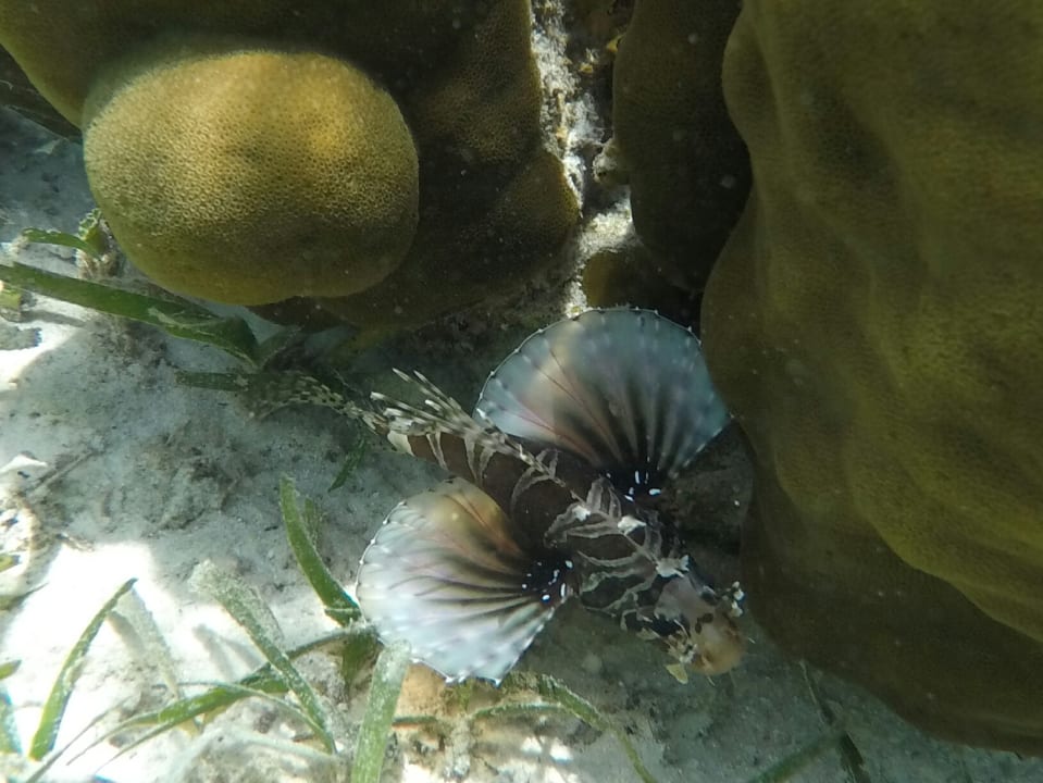 Die sol man nich anfaßen Adaaran Select Hudhuran Fushi - Premium All Inclusive