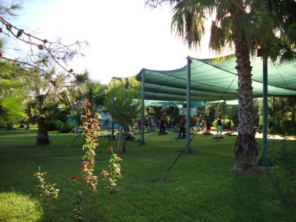 Aerobic Ali Bey Club