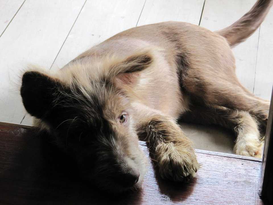 Miaki der Animateur Baan Chai Thung Resort