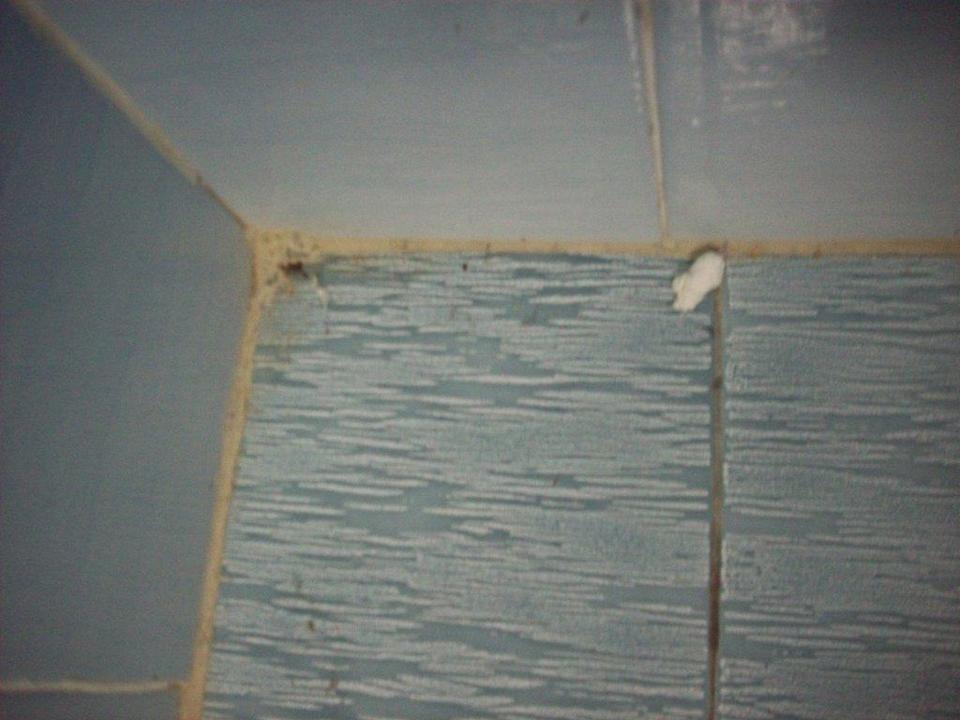 Sauber geputzt Rivijera Villen & Dependance Flora & Madera