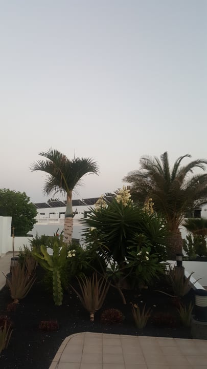 Gartenanlage Hotel Las Costas