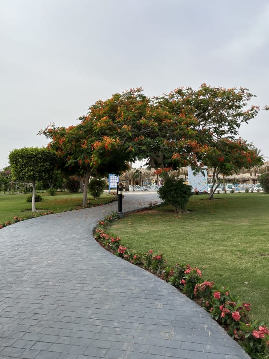 Gartenanlage Hurghada Long Beach Resort