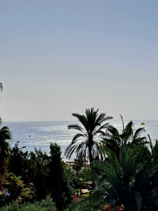 Ausblick Hotel Defne Garden