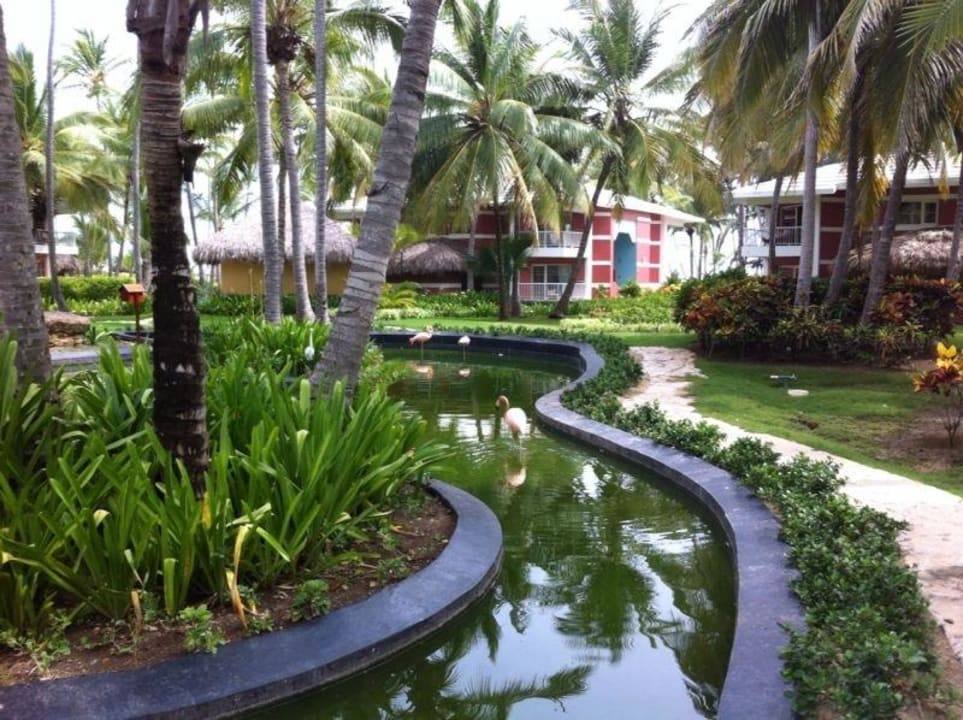 Sonne Grand Palladium Select Bávaro Resort & Spa