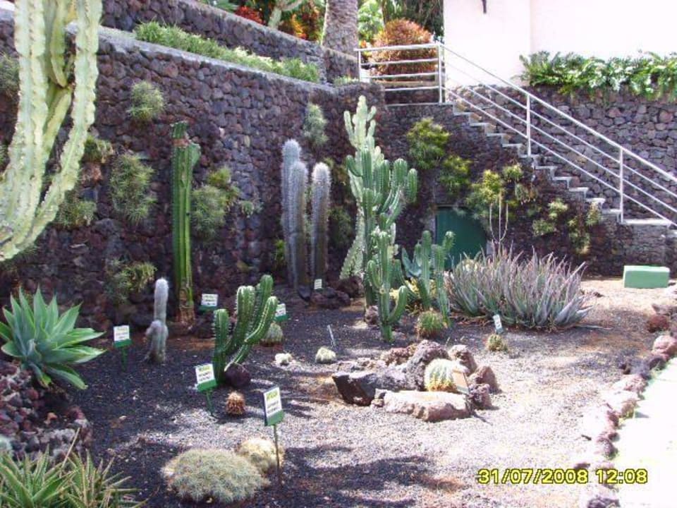 Gartenanlage  BLUESEA Costa Jardin Spa