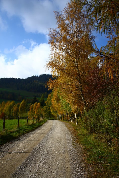 Wandern im Herbst Bauernhof Bodnerhof