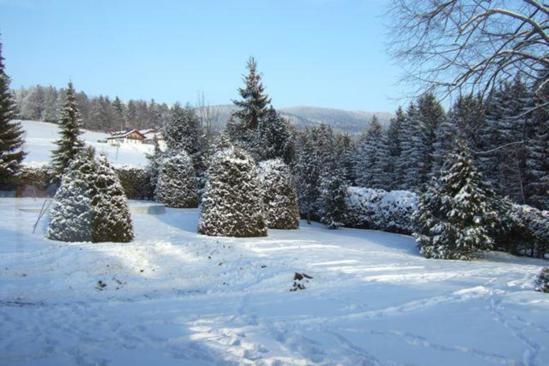 Blick aus dem Speisesaal Hotel Bergland-Hof