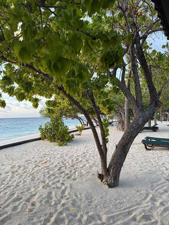 Strand Kuredu Island Resort & Spa
