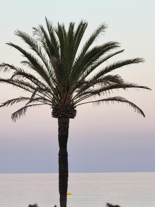 Ausblick CM Playa del Moro