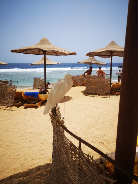 Strand Three Corners Sea Beach Resort