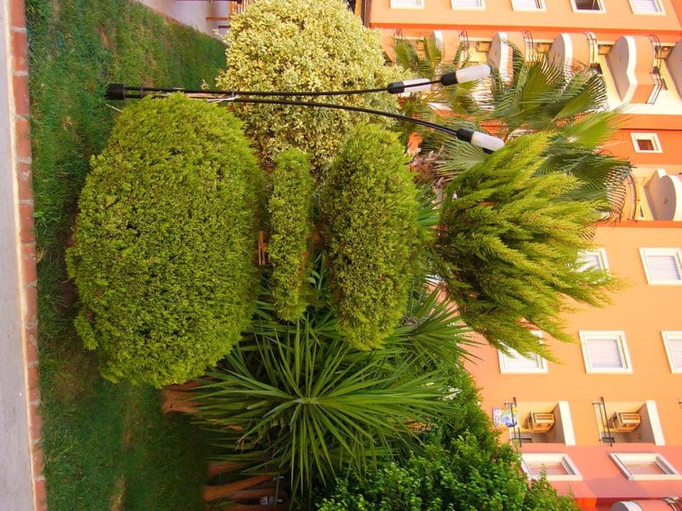Tujen mal anders Hotel Royal Garden Beach