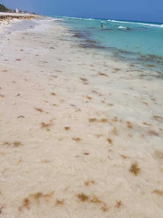 Strand Hotel Riu Tequila
