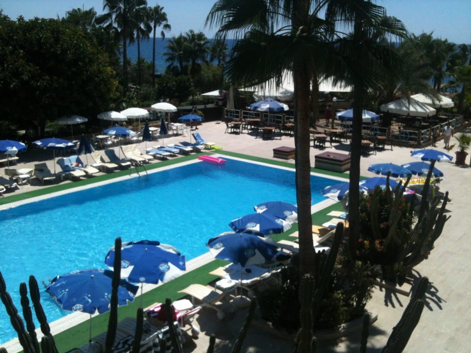 Pool und Bar Green Paradise Beach Hotel