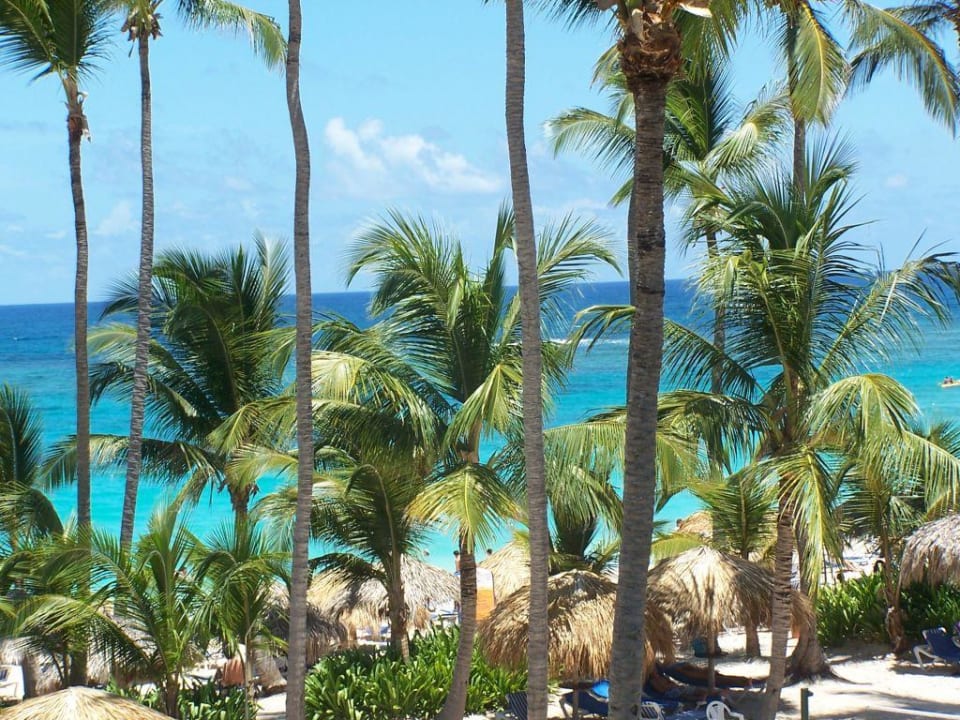 Der schöne Blick vom Balkon auf Meer und Strand Royalton Splash Punta Cana